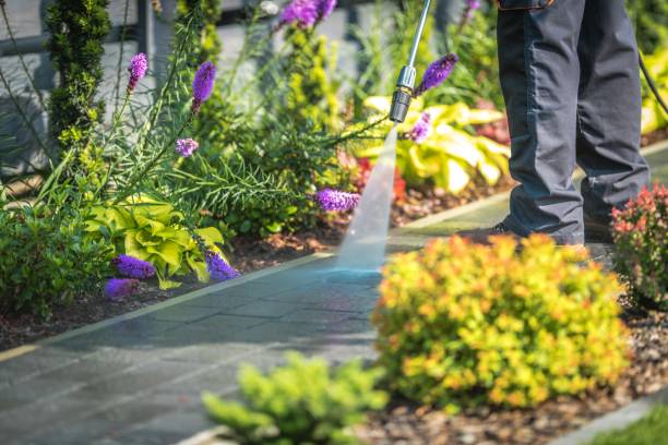 Best Driveway Cleaning and Restoration in Serenada, TX