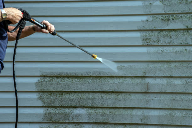 Best Roof Cleaning and Mildew Removal in Serenada, TX